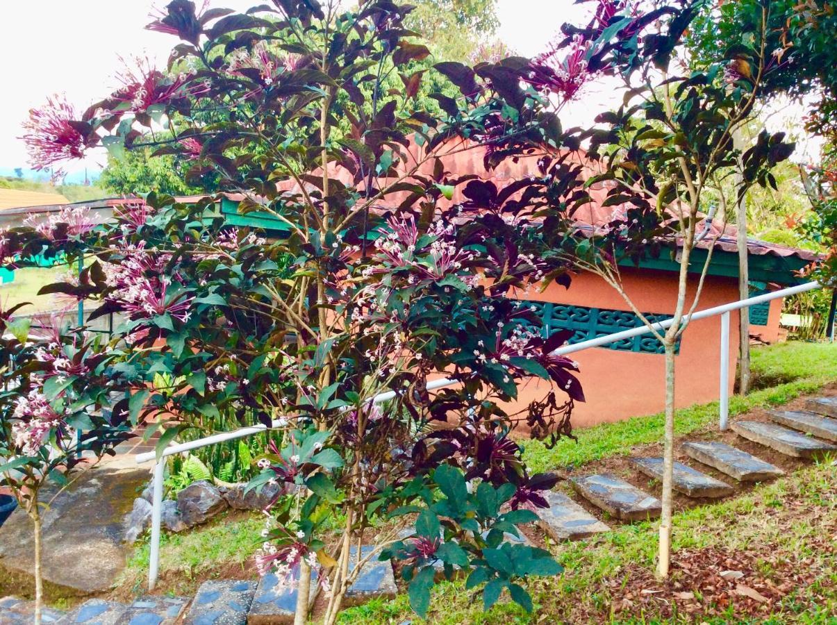 Baansuan Nanglae Hill Homestay Ban Bo Thong Exterior foto