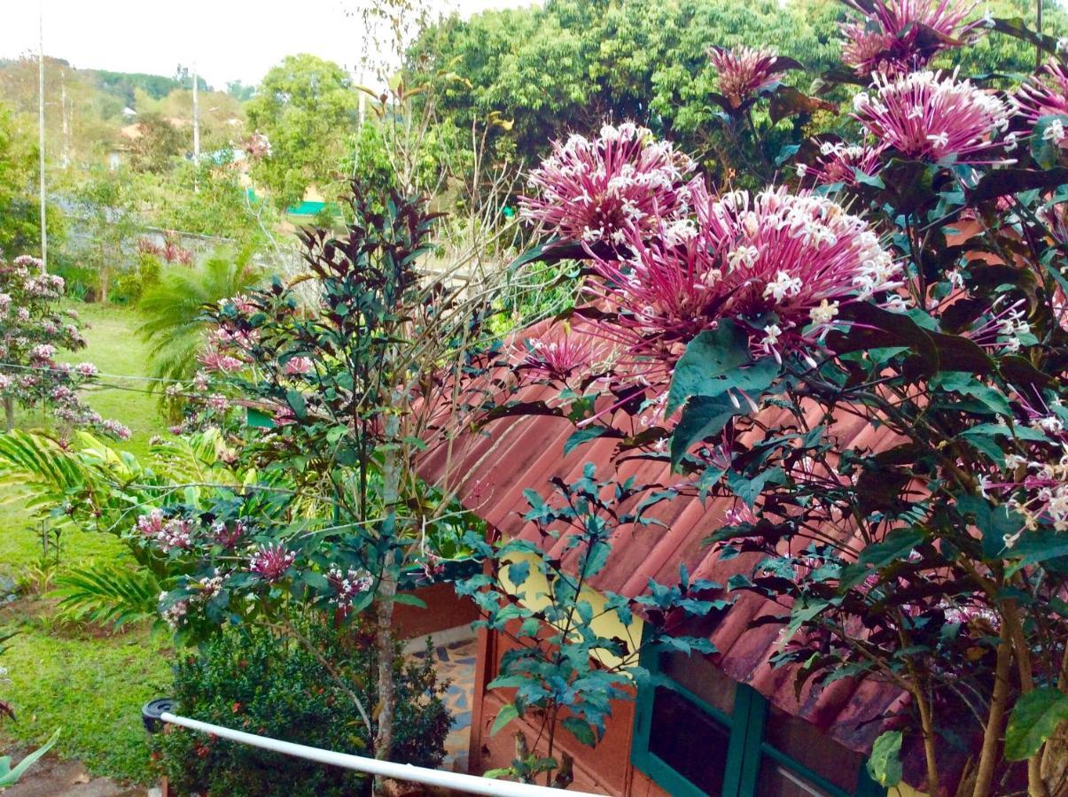 Baansuan Nanglae Hill Homestay Ban Bo Thong Exterior foto