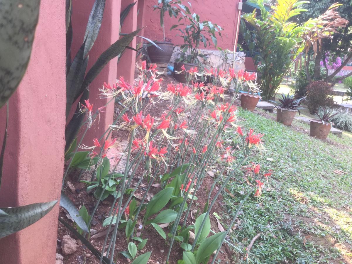 Baansuan Nanglae Hill Homestay Ban Bo Thong Exterior foto